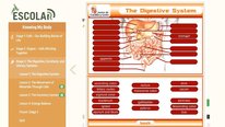 Icon for: ESCOLAR: Web-Based Curriculum for Improving Science Literacy